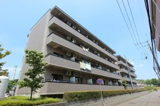 セレクトIIIの画像