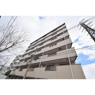 コーエイハイツの画像