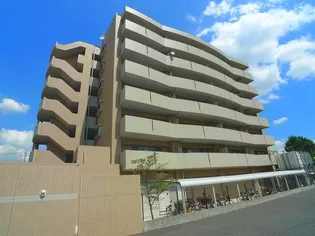 グリーンフォレストの画像