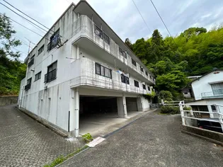 ニュー大松マンションの画像