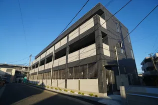 CASA 樹の画像