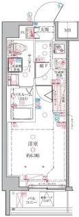 クレヴィスタ横浜綱島【6階】の間取り