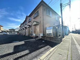 ベルヴェデールの画像