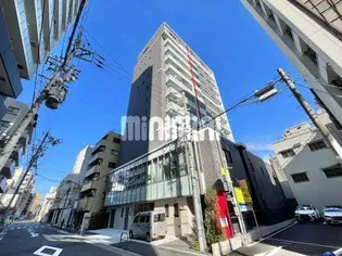 M KAMIMAEZUの画像