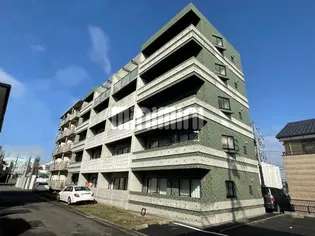 RINGWOODの画像