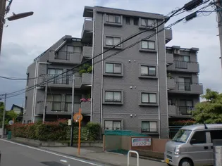 スアイナーカーウIIの画像