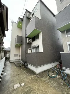 リガヤ グリエラの画像