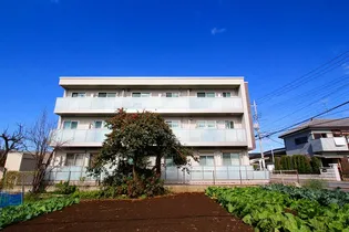 アンソナードの画像