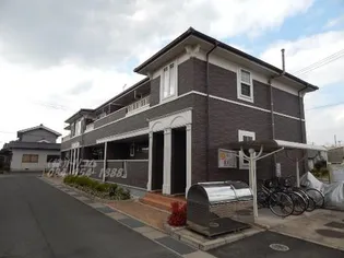 ナチュラルMの画像