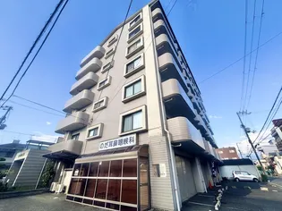 文野ハイツ【6階】の外観