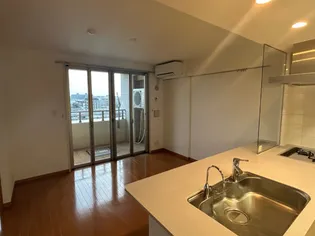 グランシティ武蔵小杉の画像