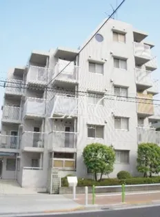 ベルタス蓮根の画像