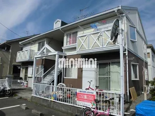 コスタリカ松風の画像