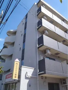 スプリングストーン Mの画像