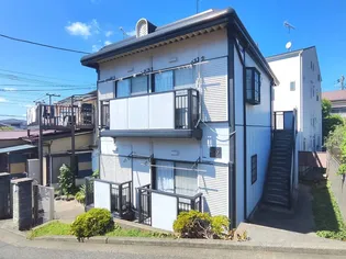 フラットTの画像