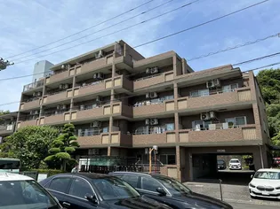 サニーテラスナカイの画像