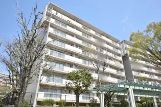 UR鳶尾の画像