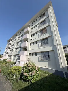 八潮伊草団地9号棟の画像