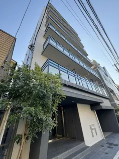 SE LALOTTAの画像