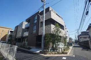 シュ シュの画像