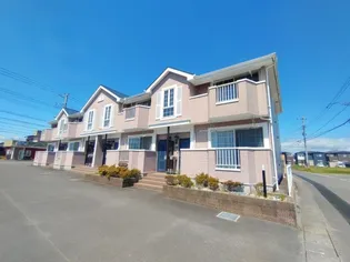 シャルマンM Fの画像