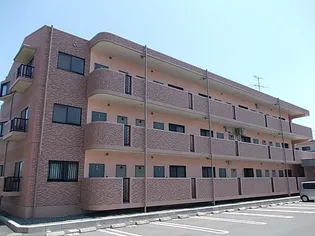 サニーカーサBの画像