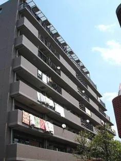 ライオンズガーデン新所沢の画像