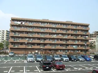 フェリーチェの画像