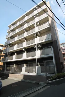 エストレリータの画像