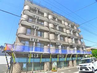 NASIC柏の画像
