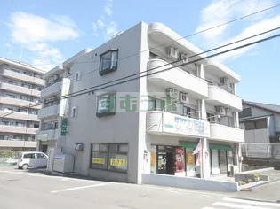 八乙女マミサワハイツの画像