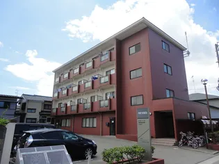 ファースト新潟の画像