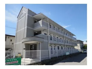 アドニス ベルロード2の画像