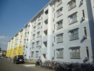 座間東原第1 3号棟の画像