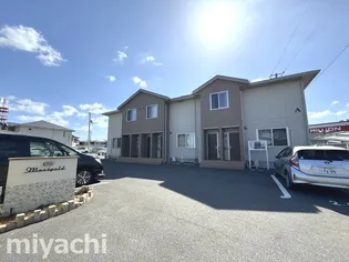 マリーゴールドA Bの画像