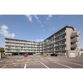 LIBERTY HILLSIIの画像