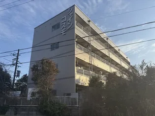シャインコスモマンションの画像