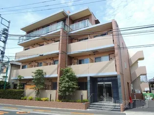 コスモアージュの画像