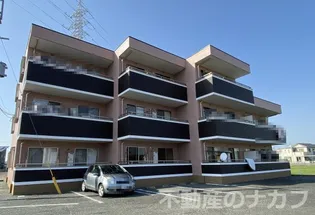 フィオリーレの画像