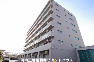 ピーノドゥーエの画像