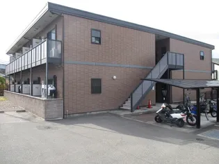 アンプルールフラーリッシュIの画像