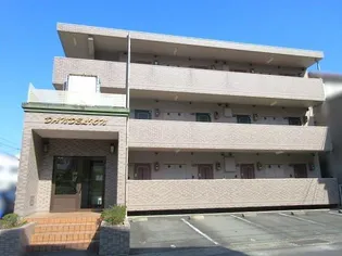 ダンデライオンの画像