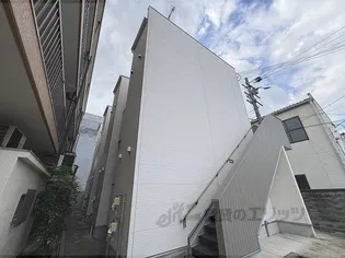 APRICOT AGATEの画像