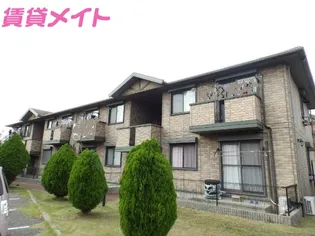 メープルAの画像