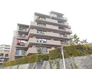 ヴィレッジバンブーの画像