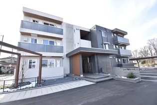 フィラーレの画像