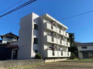 庄田コーポラス【3階】の外観