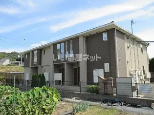 ベルフォーレの画像