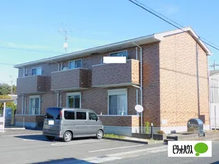 エスティーロの画像