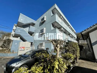 シティ向陽【1階】の外観